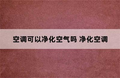 空调可以净化空气吗 净化空调